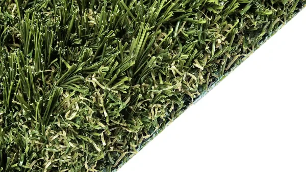 image of SYNLawn SYNAugustine 347 USDA Certified Bio-Based Golf Turf for Fringe Collar Rough and Fairways