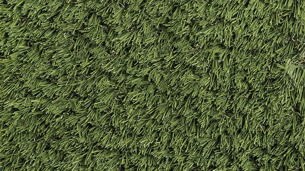 image of SYNLawn SYNAugustine 347 USDA Certified Bio-Based Golf Turf for Fringe Collar Rough and Fairways