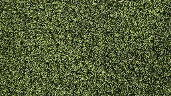 image of SYNLawn SYNAugustine 847 USDA Bio-Preferred Artificial Turf for Golf Fringe Collar and Rough