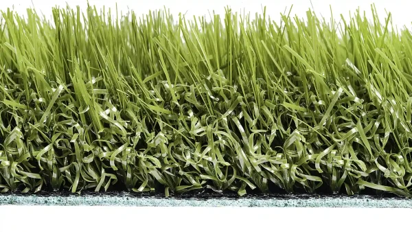 image of SYNLawn SYNRye 200 high durability and fire resistant turf for Golf Fringe Collar and Rough