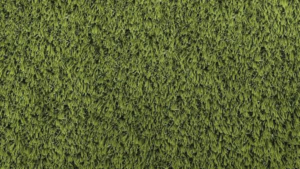 image of SYNLawn SYNRye 200 high durability and fire resistant turf for Golf Fringe Collar and Rough