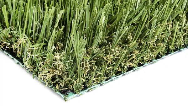 image of SYNLawn SYNFescue 70 Turf for Golf Fringe Collar and Rough