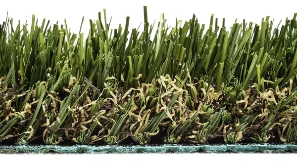 image of SYNLawn SYNFescue 70 Turf for Golf Fringe Collar and Rough