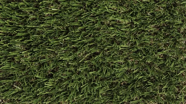 image of SYNLawn SYNFescue 70 Turf for Golf Fringe Collar and Rough